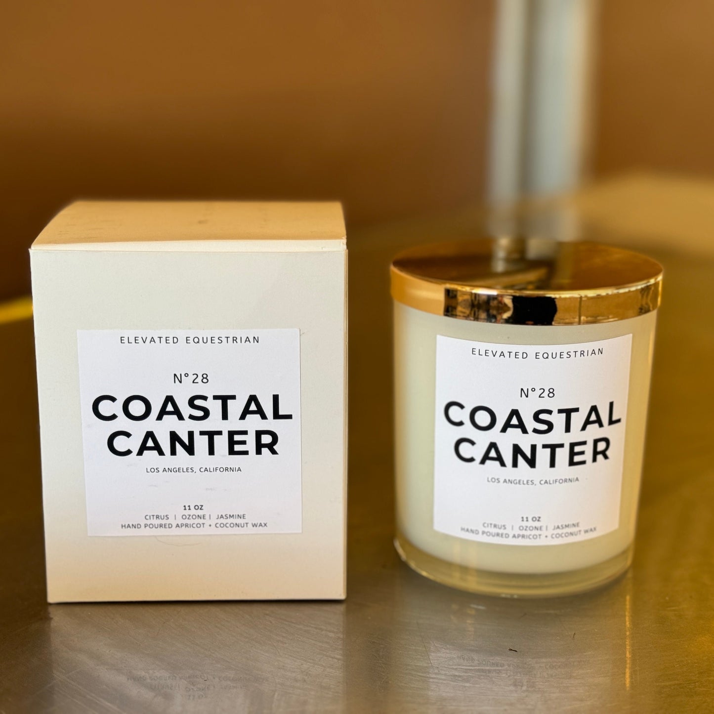 Coastal Canter 11 oz Candle
