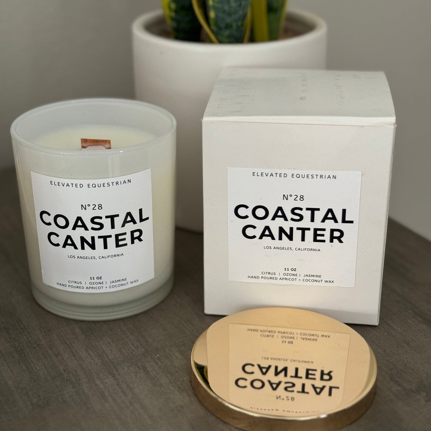 Coastal Canter 11 oz Candle